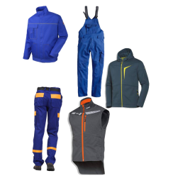 ЕДС БЕАР СПИРИТ