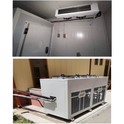 ГАБЕВ ФРИГО